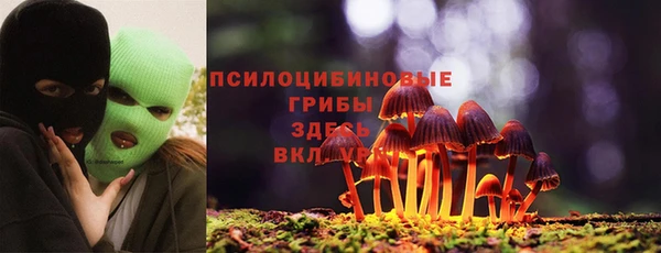 спиды Алексин