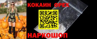 гидропоника Бийск