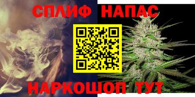 сатива Берёзовский