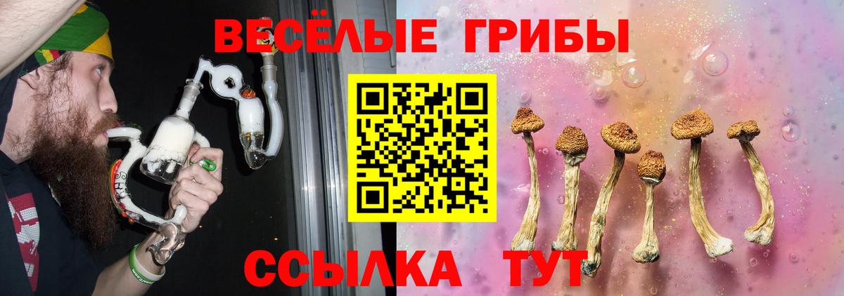 Псилоцибиновые грибы Psilocybe Златоуст