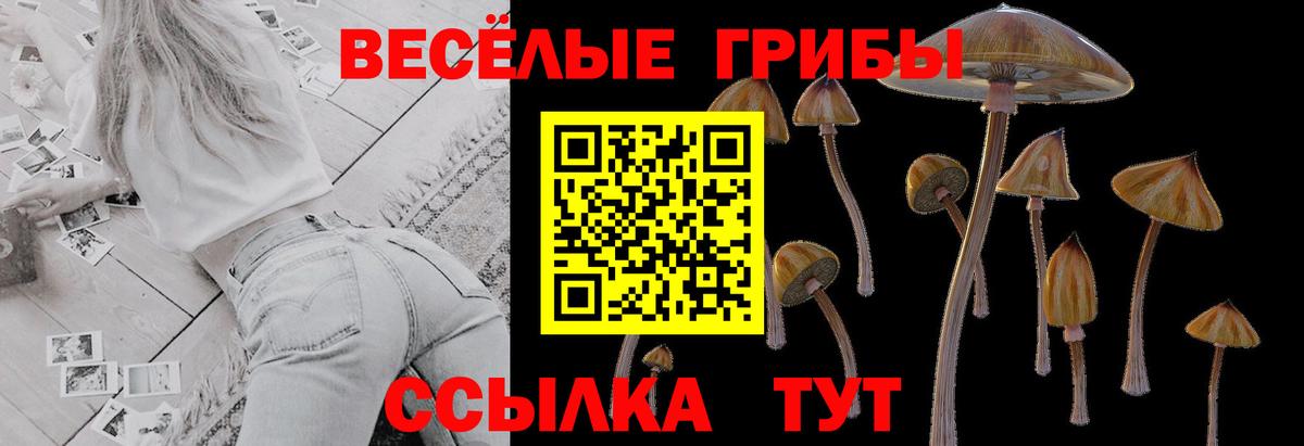 Златоуст  Псилоцибиновые грибы Magic Shrooms  Вход с VPN  Псилоцибиновые грибы прущие грибы 